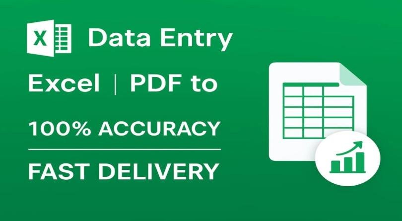 I will do accurate data entry, PDF to excel conversion, and advanced excel tasks