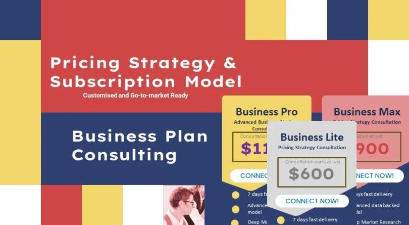 I will create pricing models and strategies with financial plan